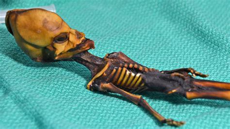 Was A Tiny Mummy In The Atacama An Alien No But The Real Story Is