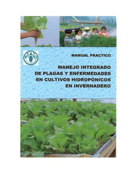 Manejo Integrado De Plagas Y Enfermedades En Cultivos Hidroponicos My