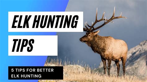 5 Elk Hunting Tips YouTube