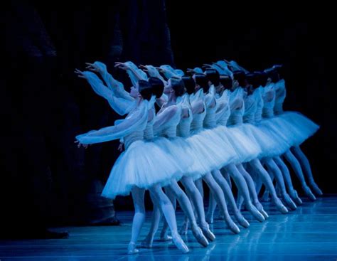 Mariinsky Ballet La Bayad Re Washington Dancetabs