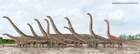 Argentinosaurus is over 100 feet lo. Apatosaurus Ajax, Mamenchisaurus Sinocanadorum ...