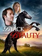 Black Beauty (2015) - Rotten Tomatoes