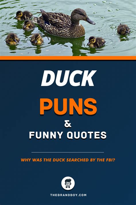 56 Best Duck Puns And Funny Quotes Puns Funny Quotes Funny Puns