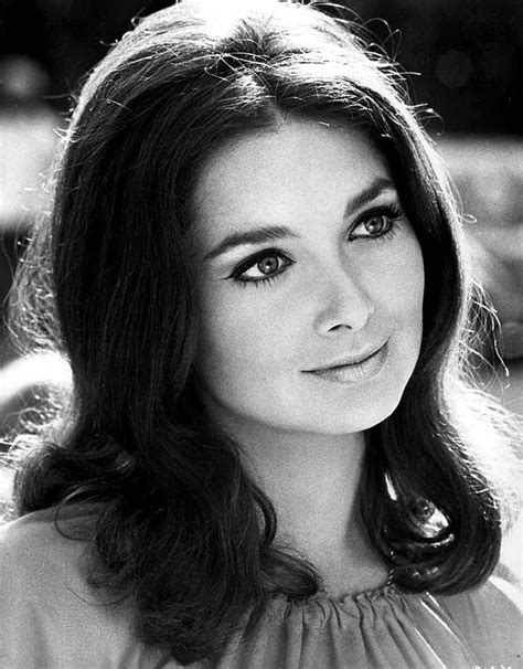 Suzanne Pleshette Suzanne Pleshette Beautiful Actresses Actresses Vrogue