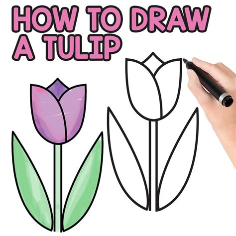 Flower Drawing For Kids Free Download On Clipartmag