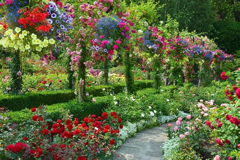 Hình ảnh Vườn Hoa đẹp
