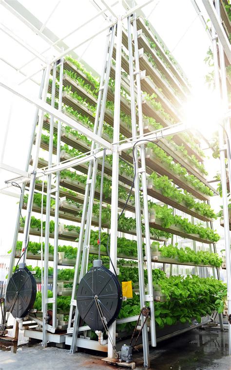 Sky High Vegetables Vertical Farming Sprouts In Singapore The Salt Npr