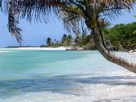Free Stock Photo Of Idyllic Tropical Beach And Palm Tree