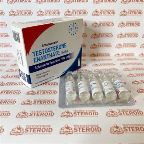 acquistare testosterona enanthate 250 mg euro prime farmaceuticals prezzo 60 00€ in italia