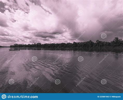 Overcast Landscape Scenery Of The Suriname River Stock Image Image Of