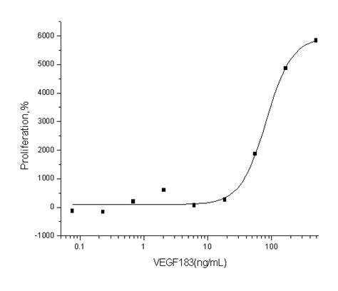 Human VEGF 183 / VEGF-A Recombinant Protein