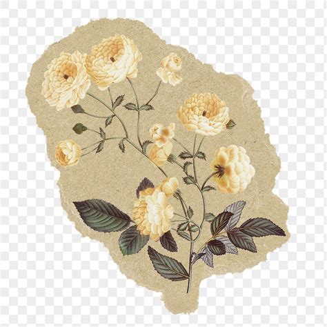 Vintage Flowers Png Sticker Ripped Paper Transparent Background