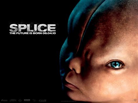 Splice is a 2009 science fiction horror film directed by vincenzo natali and starring adrien brody, sarah polley, and delphine chanéac. Splice | Talk Nerdy to Me