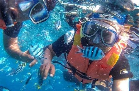 Tioman is in pahang (east coast) within the mersing marine park, which contains fewer commercial islands such as sibu island. Snorkeling in Tioman Island: A Malaysian EcoParadise ...