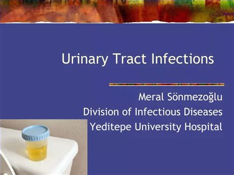 Ppt Urinary Tract Infections Powerpoint Presentation Free Download Id9665872