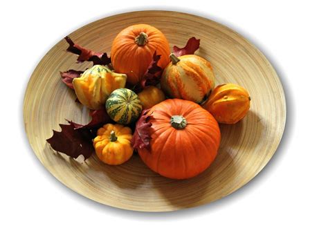 Free Images Decoration Food Produce Vegetable Autumn Pumpkin