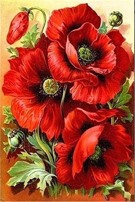 Amazon will not charge your credit card or bank account if your payment doesn't exceed the balance in your gift card account balance. Amazon.com: YEESAM ART Diamond Painting Kits Partial Drill, Red Poppy Enchanting Flowers 25x30 ...