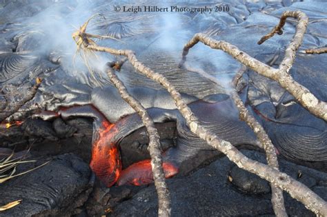 Hawaiian Lava Daily ~ Lava Still Flowing Strong Into Ocean ~ New