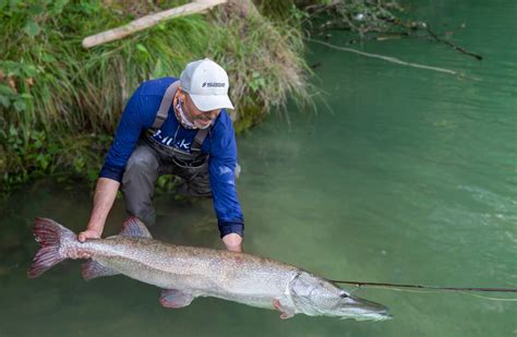 World Record Pike Caught In Italy Flylords Mag