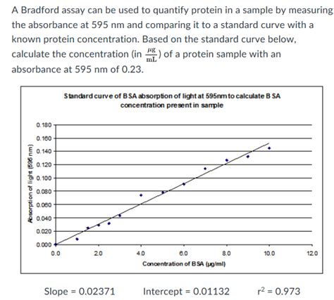Bradford Assay Protein Quantification
