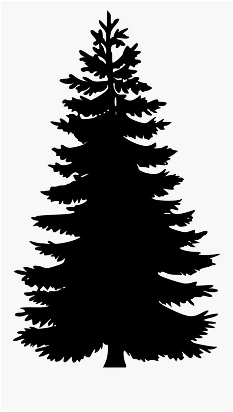 Clip Art Black And White Graphic Pine Tree Vector Png Free