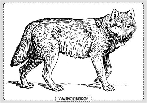 Dibujos De Lobos Para Colorear Láminas Gratis De Lobos