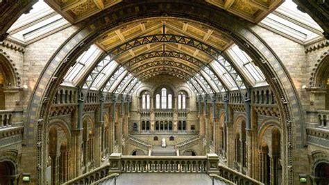 Londen Tourticket Met Voorrang Door Natural History Museum Getyourguide