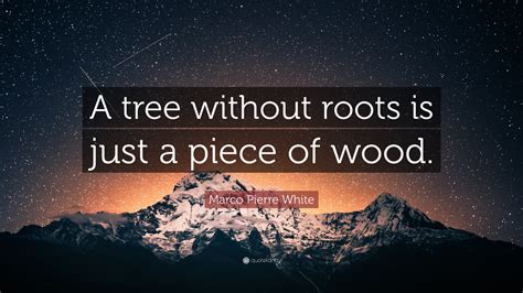 Marco Pierre White Quote: “A tree without roots is just a piece of wood.”