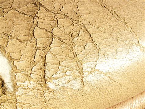 Cracked Leather 1 Free Photo Download Freeimages