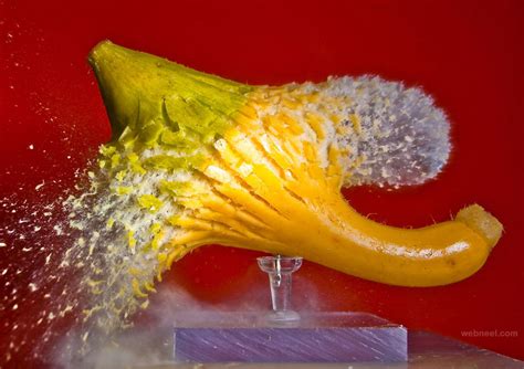 25 Stunning High Speed Photography Examples And Tips For Beginners