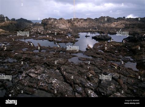 St Pauls Rocks Hi Res Stock Photography And Images Alamy