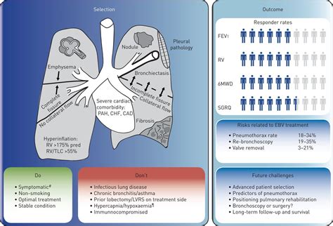 Endobronchial Valves For Severe Emphysema European Respiratory Society
