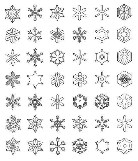 Snowflake Patterns Photograph By Science Photo Library Fine Art America