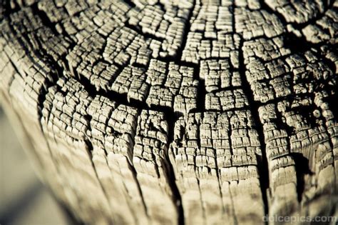 Texture Photography Examples