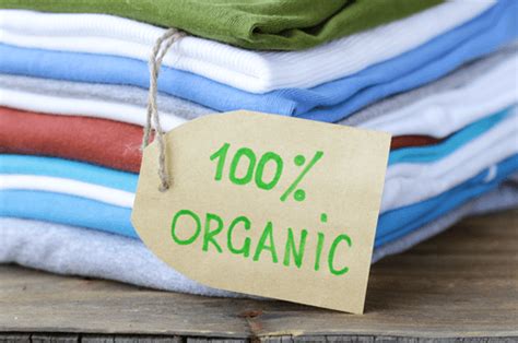 Eco Friendly Clothing Brands You Need To Know About