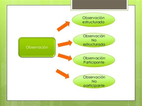 Observación Participante