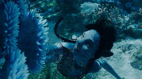 Avatar 2 James Cameron Explains Why Its Okay To Get Up And Go Pee