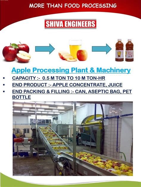 Automatic Stainless Steel Apple Juice Processing Machinery For