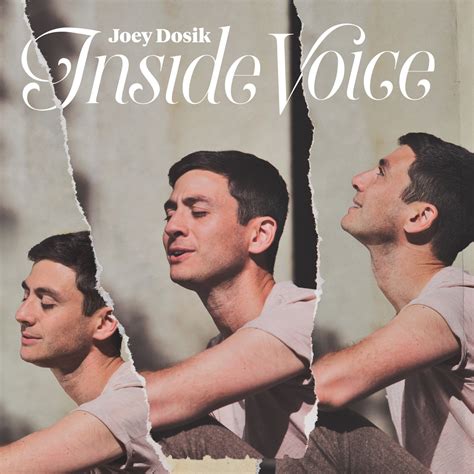 Joey Dosik Inside Voice Album Review