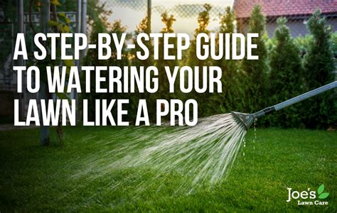 A Step By Step Guide To Watering Your Lawn Like A Pro Joes Lawn Care