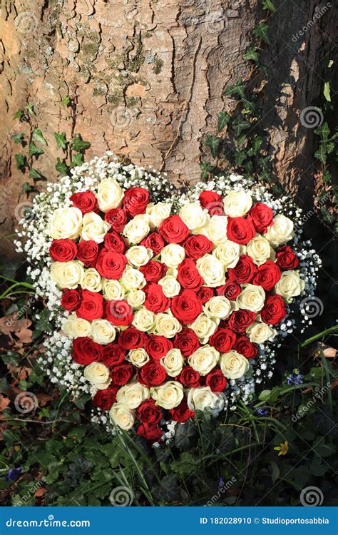 Heart Shaped Sympathy Flowers Stock Photo Image Of Valentine Shape