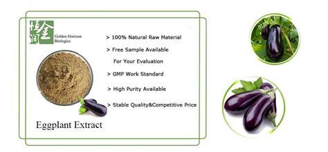 High Quality Eggplant Extract Powder For Skin Cancer Buy Eggplant