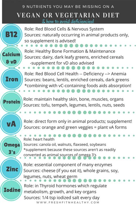 vegetarian and vegan diets 9 nutrients you may be missing fresh fit n healthy