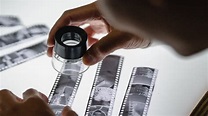 Guide to Negative Film & Camera Formats | Nostalgic Media
