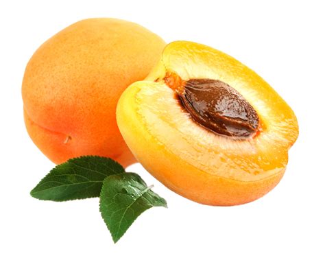 Download Apricot Png Image For Free