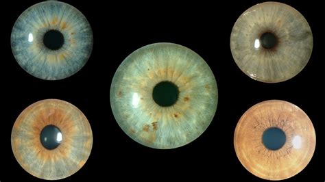 El Color De Los Ojos Ojos Grises Y Verdes Centro De Oftalmología