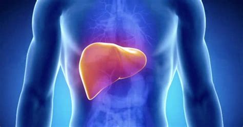 6 Most Common Symptoms Of Liver Toxicity