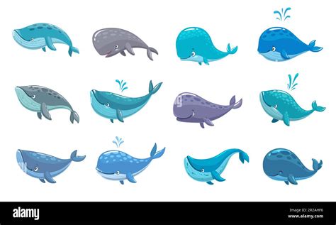 Cartoon Whale Characters Isolated Vector Sea Animals Ocean Mammal