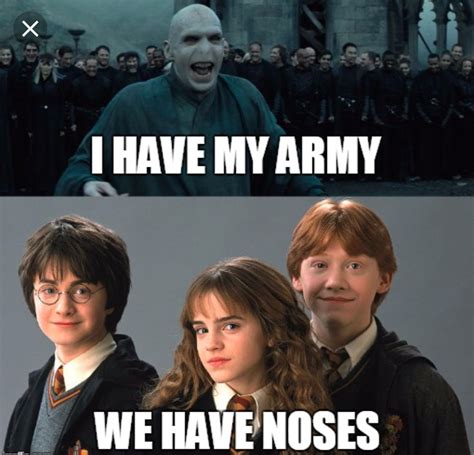 Top 25 Memes De Harry Potter Funny Hilarious Humor Pictures Harry