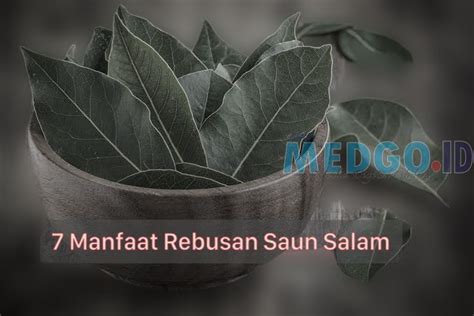 Manfaat Rebusan Daun Salam Untuk Kesehatan